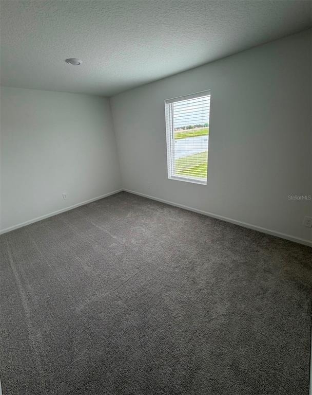 5513 Pimenta Court - Photo 17