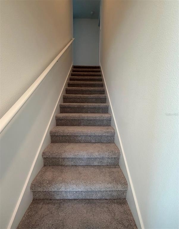 5513 Pimenta Court - Photo 14