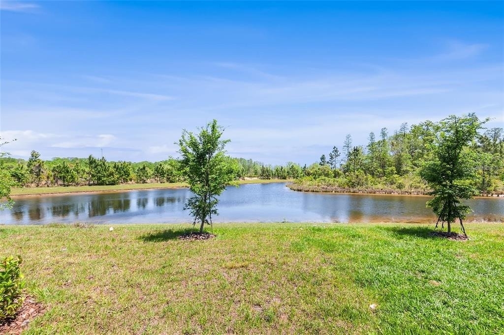 11236 Crescent Deer Drive - Photo 13