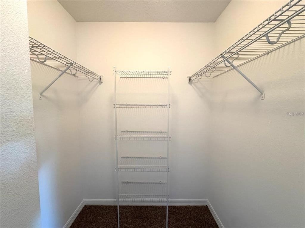 12117 Citruswood Drive - Photo 12
