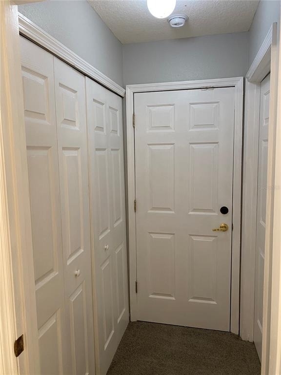 613 Coconut Palm Way - Photo 17
