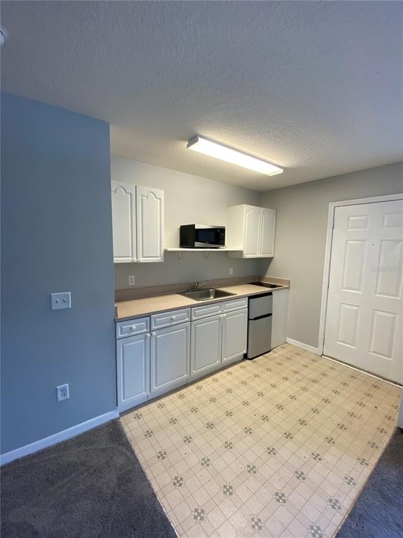 613 Coconut Palm Way - Photo 3
