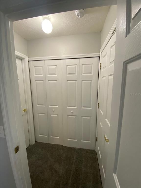 613 Coconut Palm Way - Photo 19