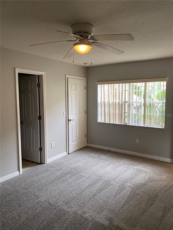 613 Coconut Palm Way - Photo 9