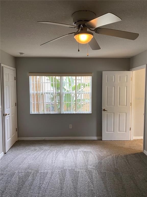 613 Coconut Palm Way - Photo 13
