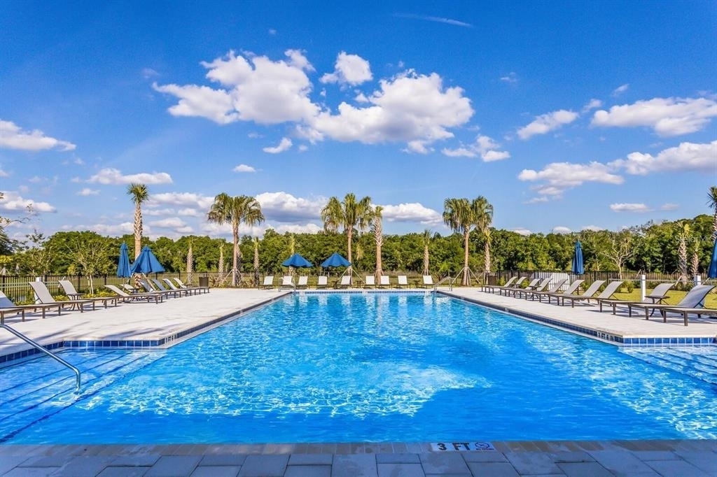 3806 Savanna Palms Court - Photo 50