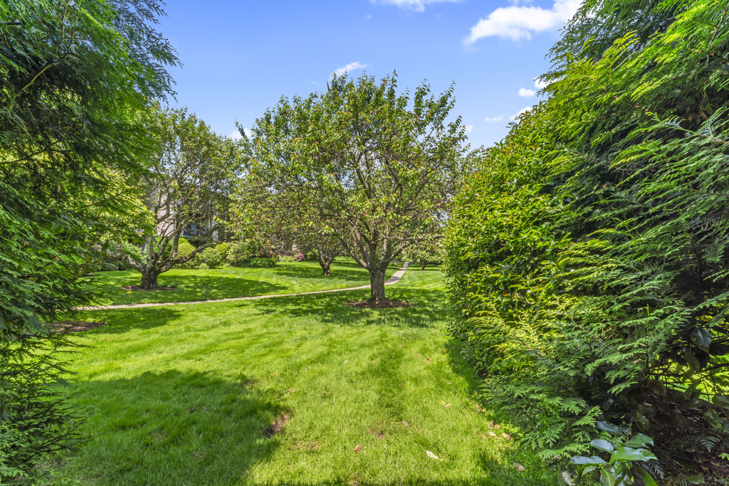 245 Hamilton Avenue - Photo 23