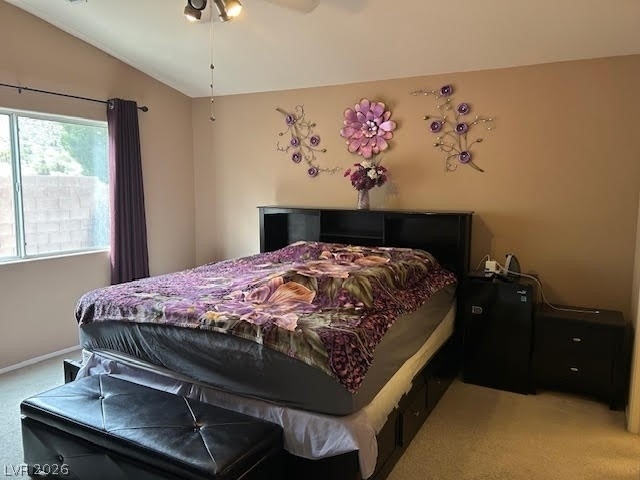 3705 Mornings Dawn Street - Photo 19