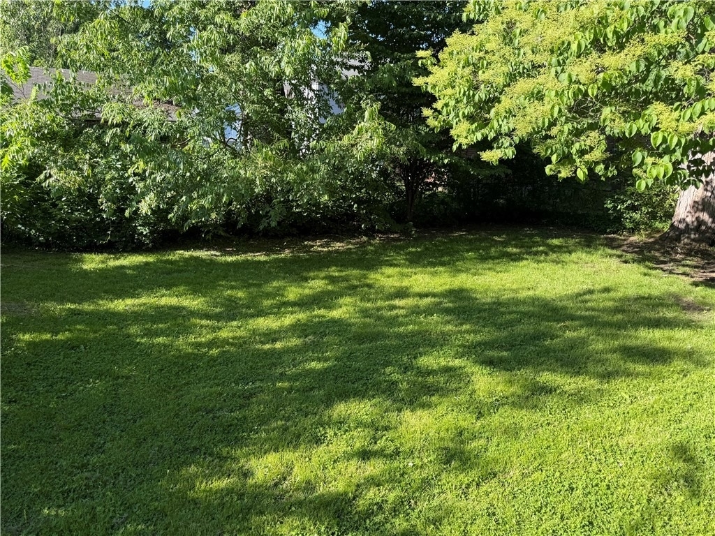 151 Cayuta Street - Photo 14