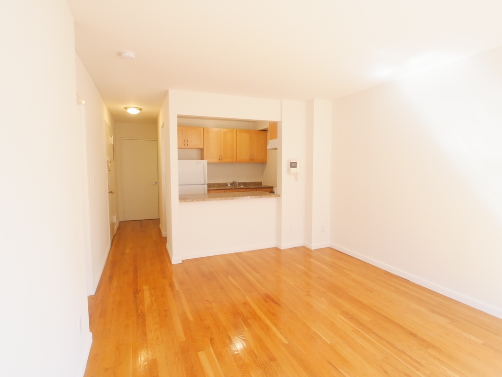 225 East 85th Street - Photo 5