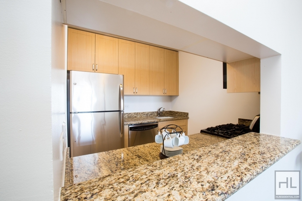 West 48th Street - Photo 4