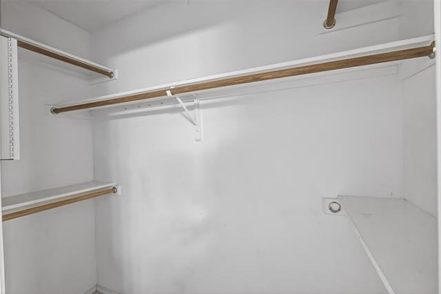 7016 Snowivy Court - Photo 21