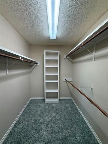 1097 Lytle Creek Drive - Photo 12