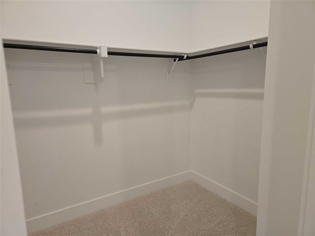 11539 Pinto Street - Photo 17