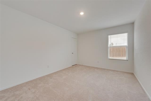 9113 Thrasher Trail - Photo 15
