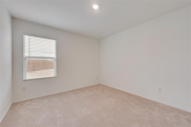 9113 Thrasher Trail - Photo 9