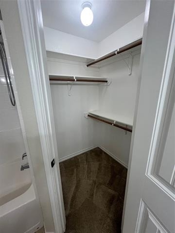801 Big Water Trail - Photo 14