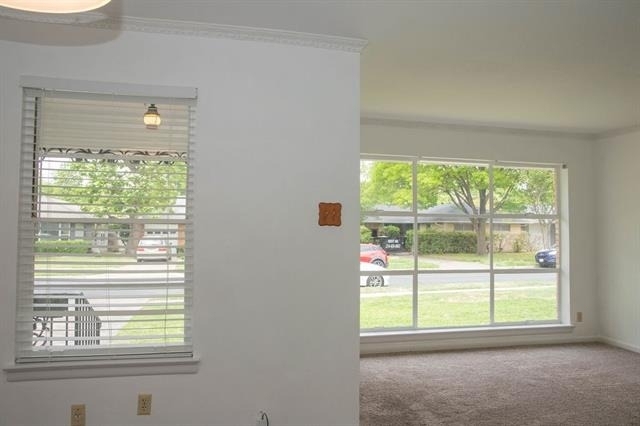 10028 San Lorenzo Avenue - Photo 5