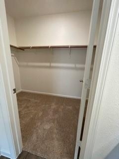 901 Bois D Arc Lane - Photo 8