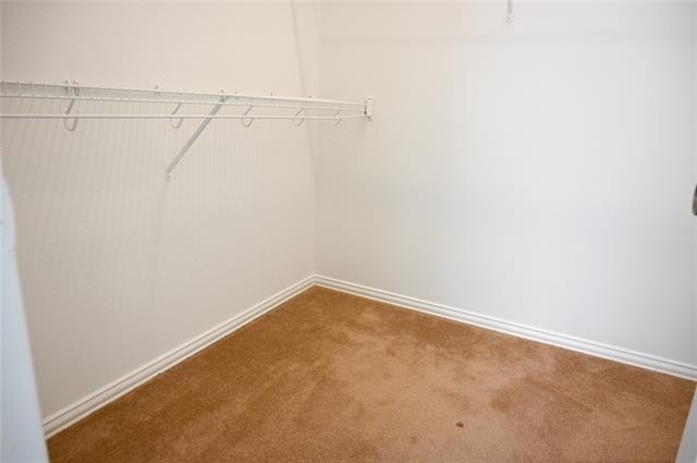 2204 Rockport Drive - Photo 20