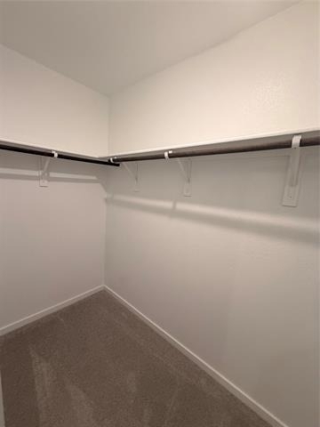 4171 Silverstein Street - Photo 10