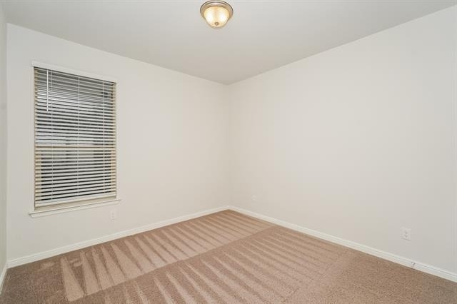 1016 Napier Way - Photo 8