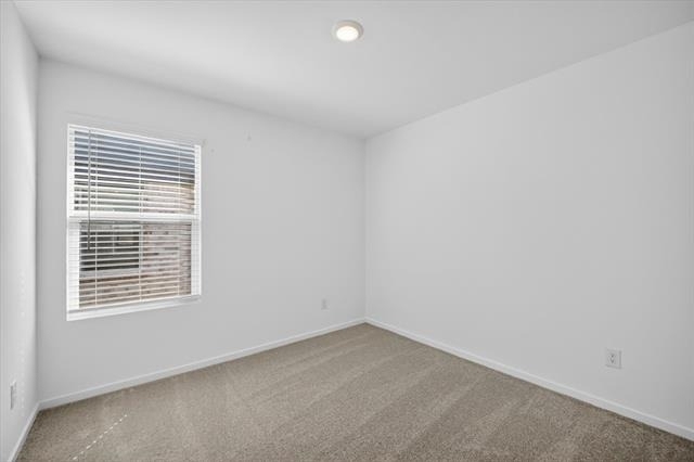 2509 Guineas Lane - Photo 11