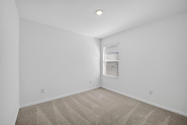 2509 Guineas Lane - Photo 12