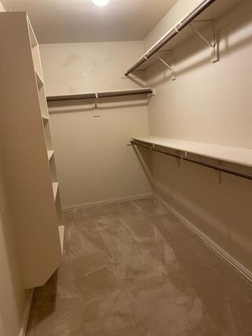 2613 Bretton Wood Drive - Photo 11