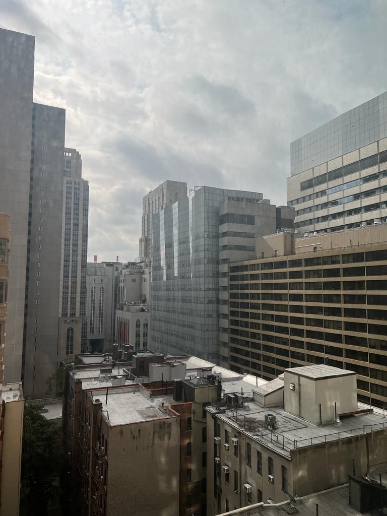 East 71st Street - Photo 10