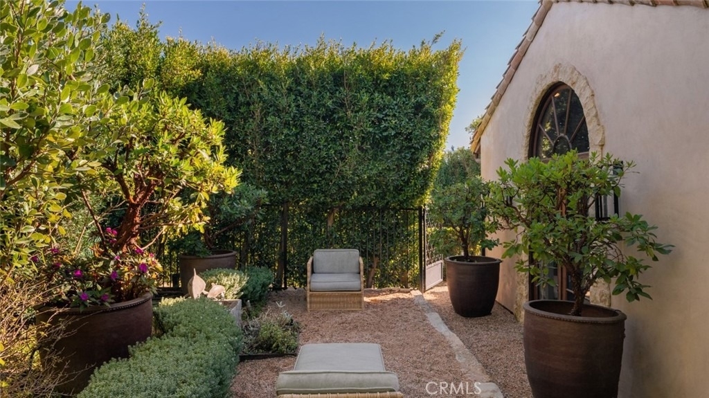 24650 Blue Dane Lane - Photo 4