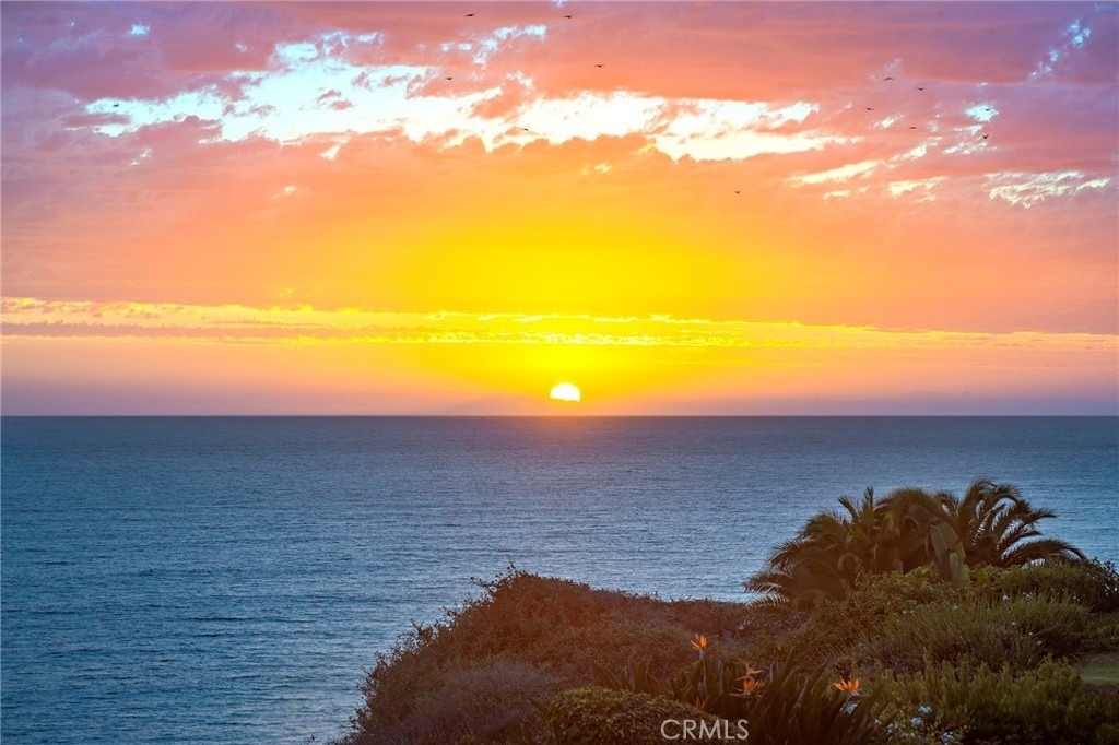 35031 Camino Capistrano - Photo 4