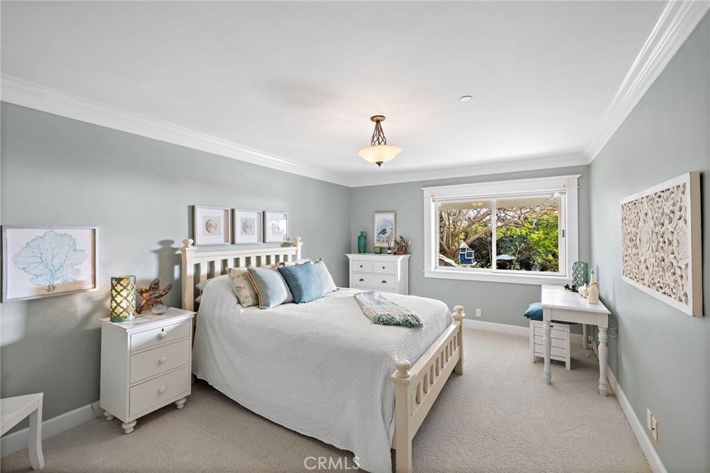 35031 Camino Capistrano - Photo 47
