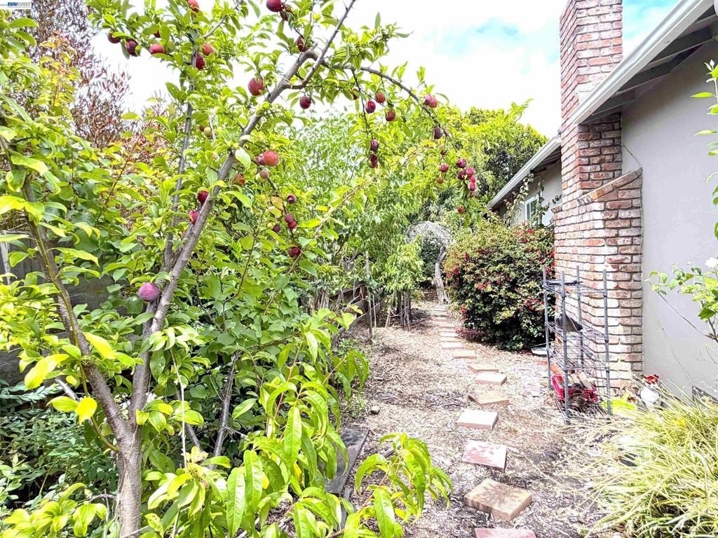 41348 Whitecrest Ct - Photo 30