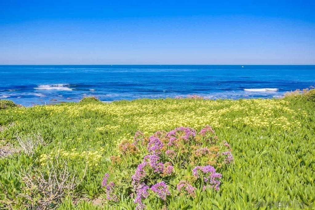 245 Coast - Photo 30