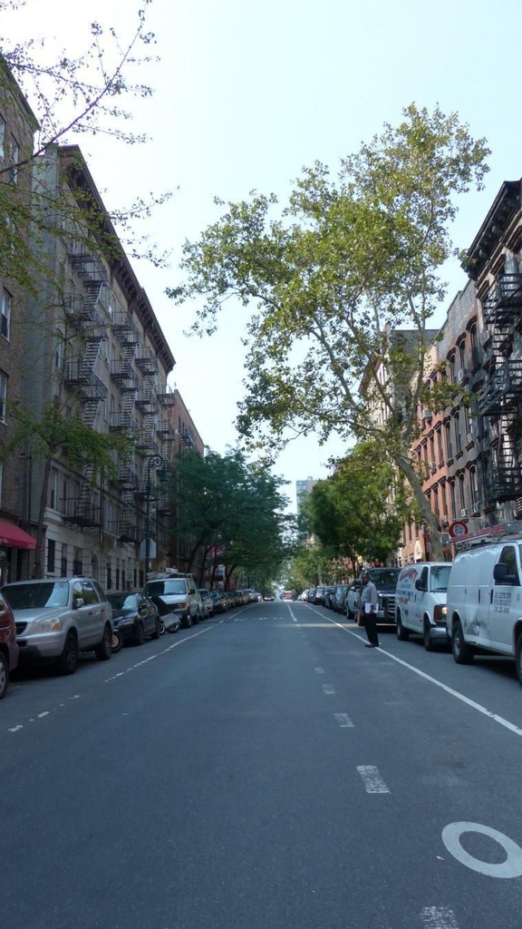 419 W 44th Street - Photo 12