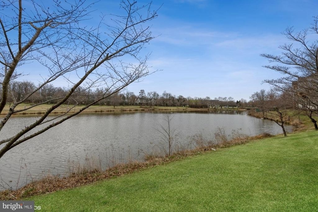 25340 Lake Mist Square - Photo 34