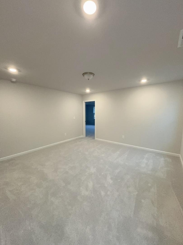 1013 Red Wing Drive - Photo 12