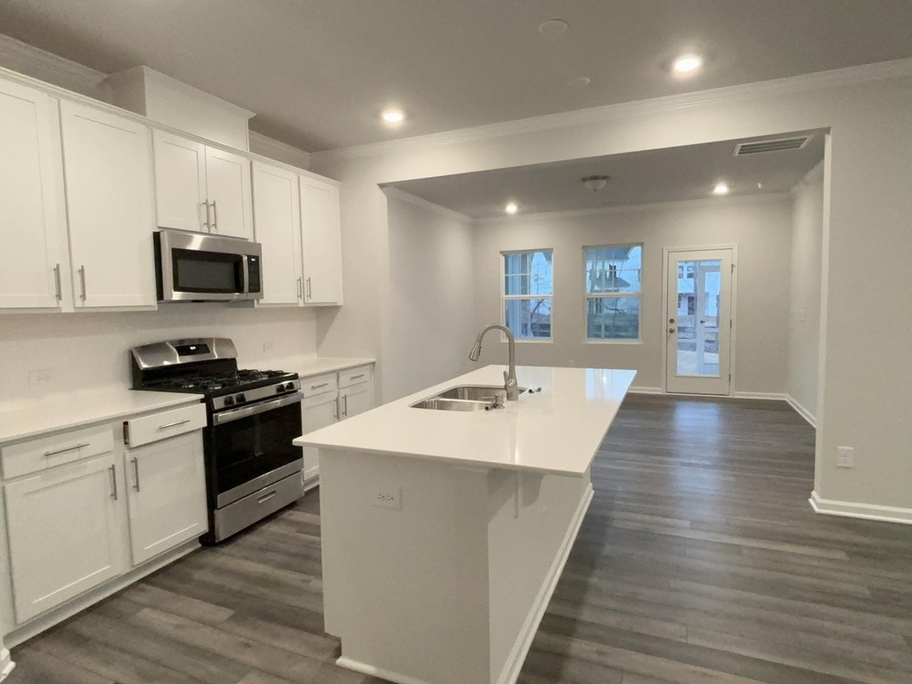 1013 Red Wing Drive - Photo 3