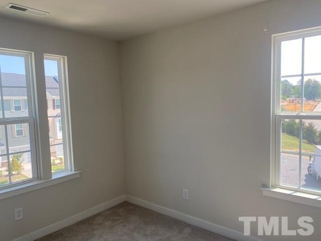 511 Autumn Cure Court - Photo 16