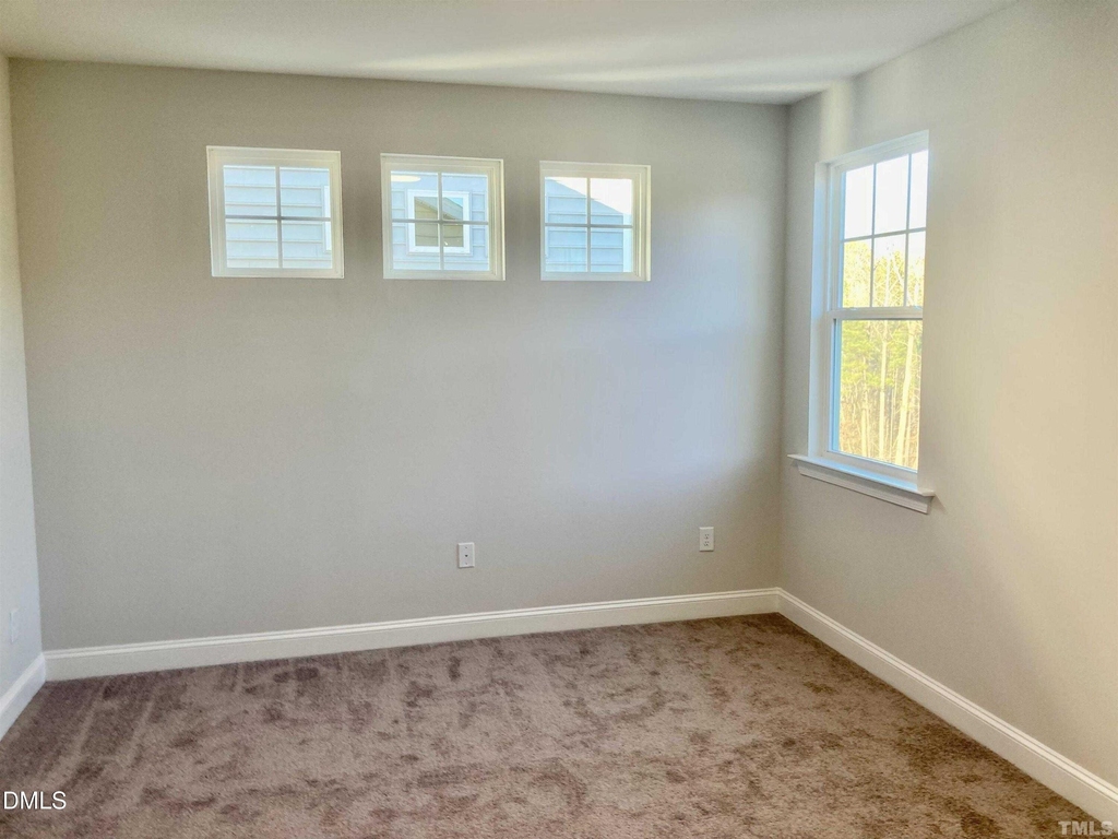 1113 Falling Rock Place - Photo 9