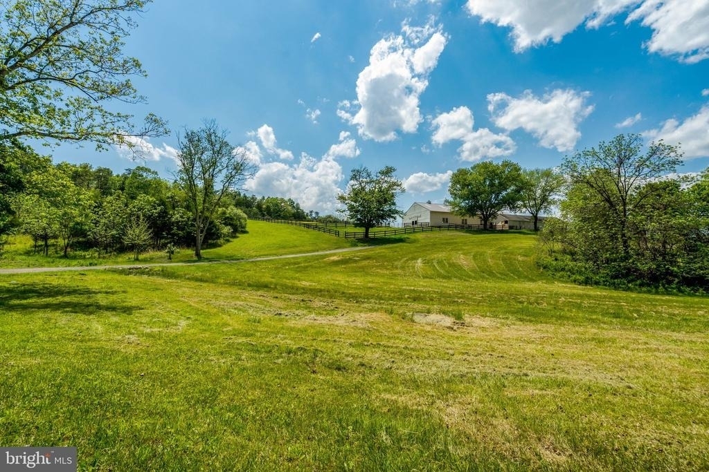 9253 Cliff Mills Road - Photo 7