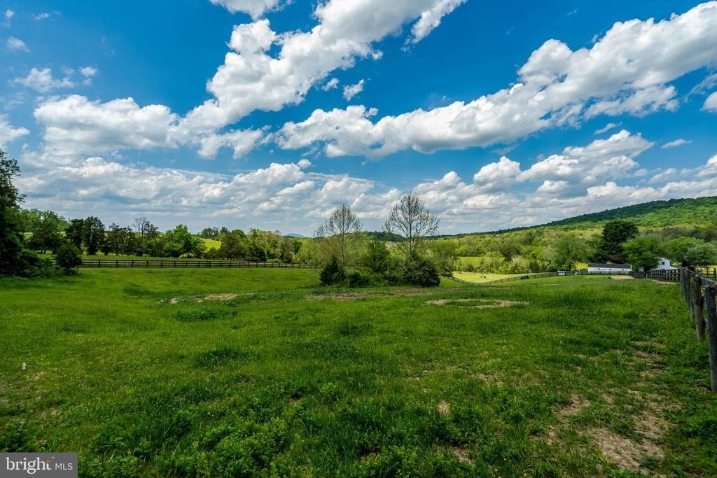 9253 Cliff Mills Road - Photo 8