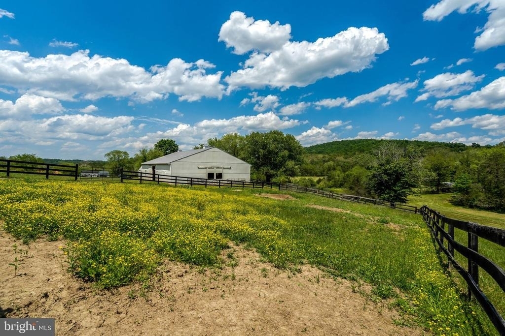 9253 Cliff Mills Road - Photo 37