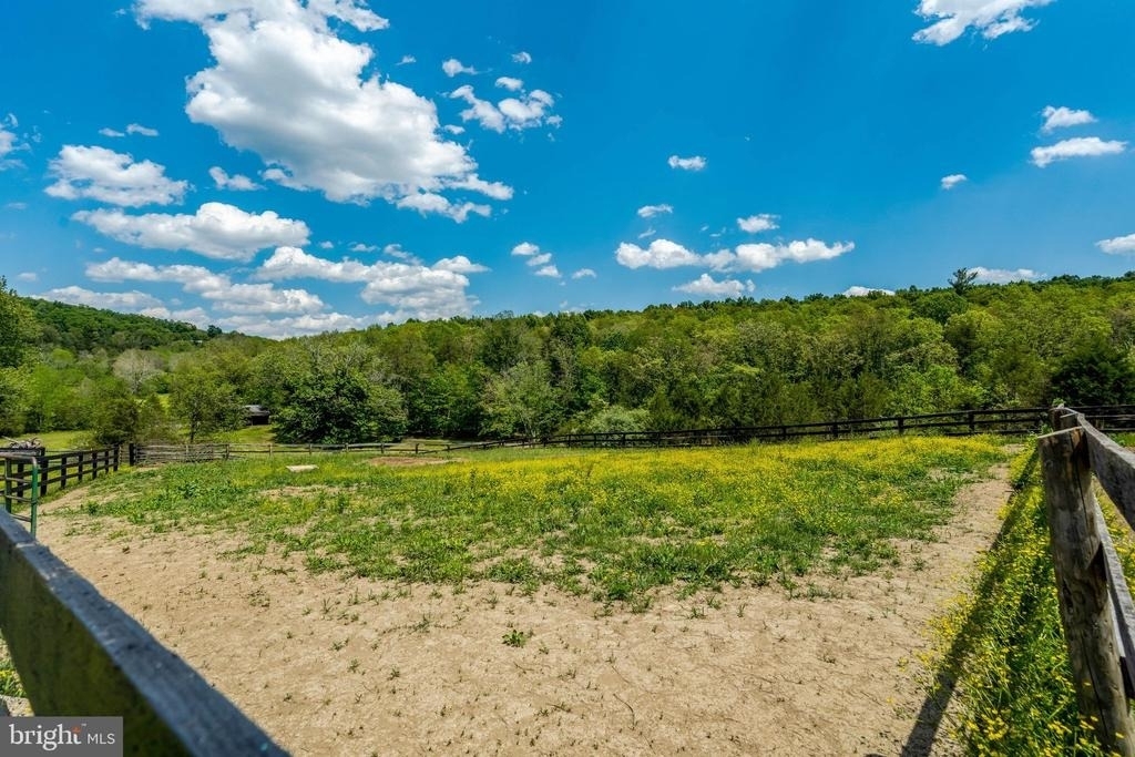9253 Cliff Mills Road - Photo 45