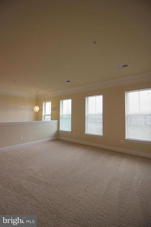 23802 Catawba Hill - Photo 4