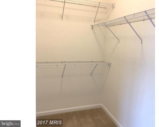 7419 Wild Honey Way - Photo 12