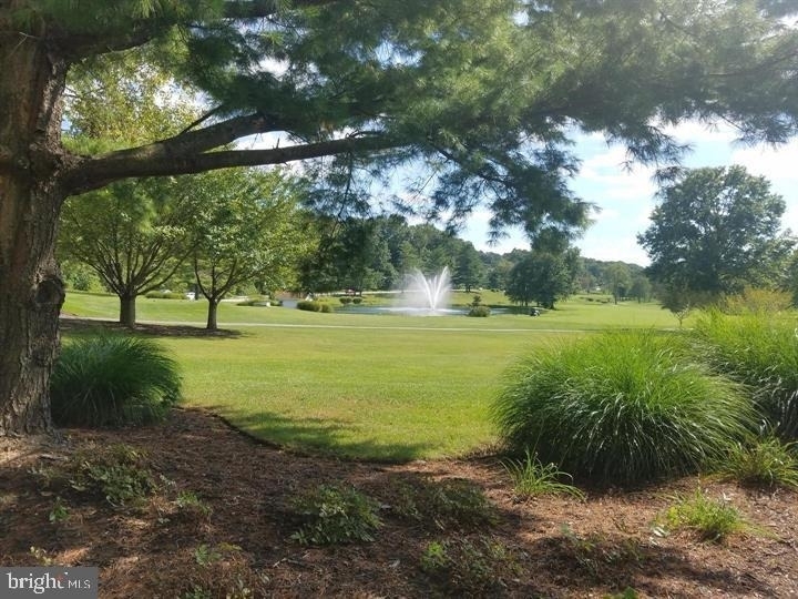10530 Resort Road - Photo 11