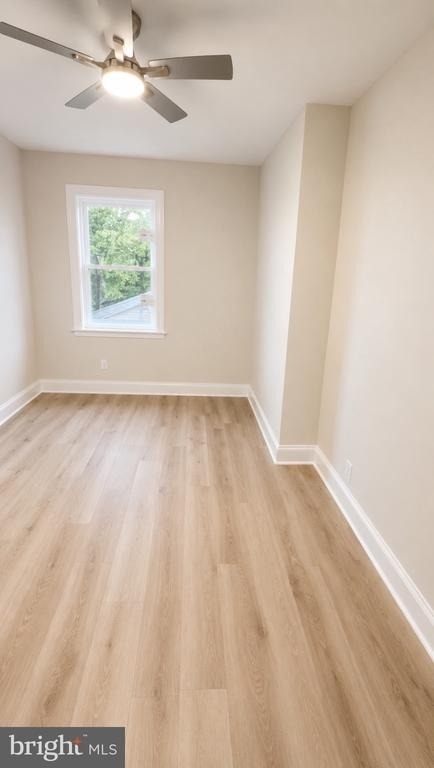 1433 W Lombard Street - Photo 4