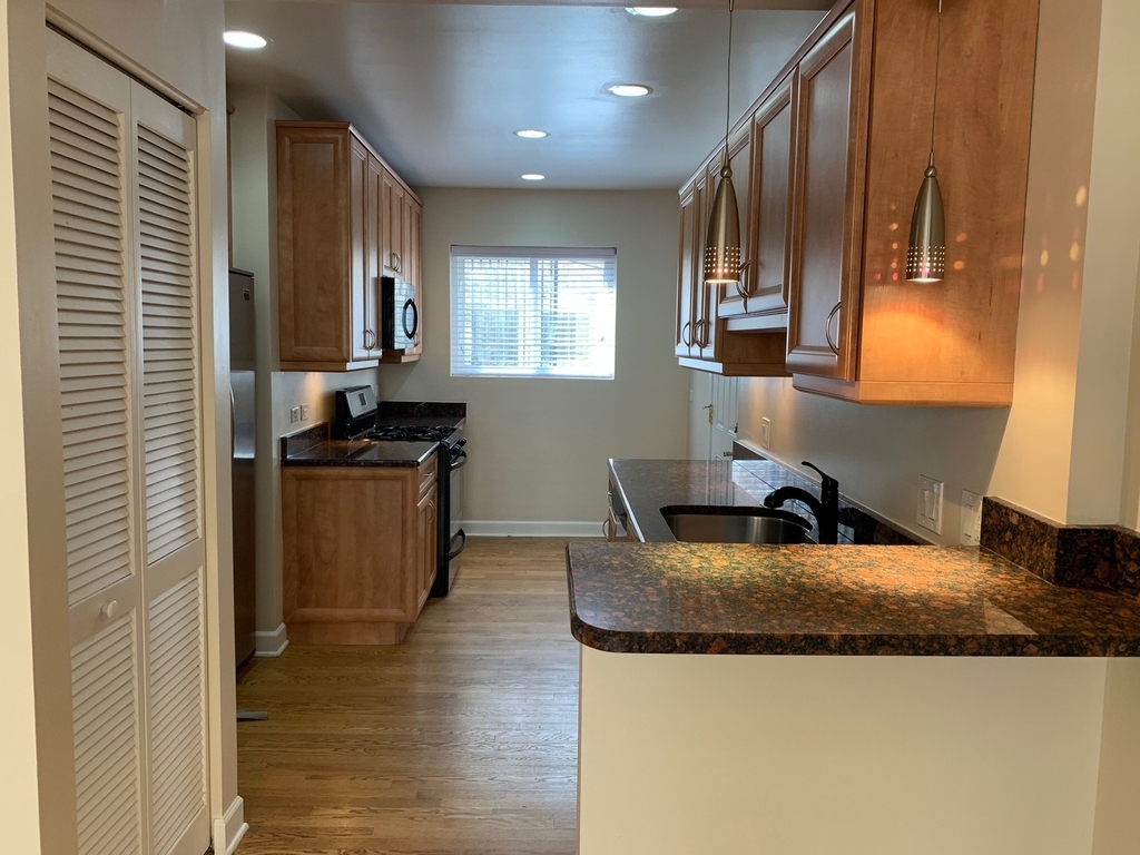 7402 N Damen Avenue - Photo 1